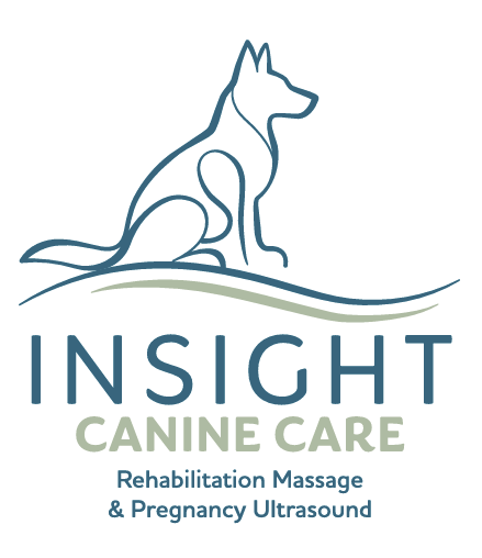 Insight Canine Care